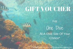 Gift Voucher Diving