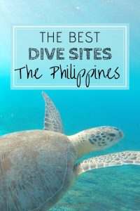 Best Dive Sites In The Philippines